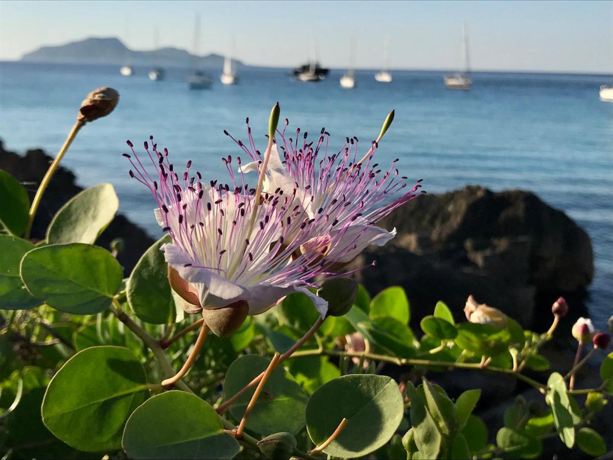 Zaffiro Lavico Rooms Etna Nature Sea Acireale Εξωτερικό φωτογραφία